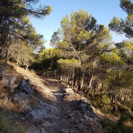 Apartamentos Rurales La Dehesa Del Acebuche เฮน ภายนอก รูปภาพ