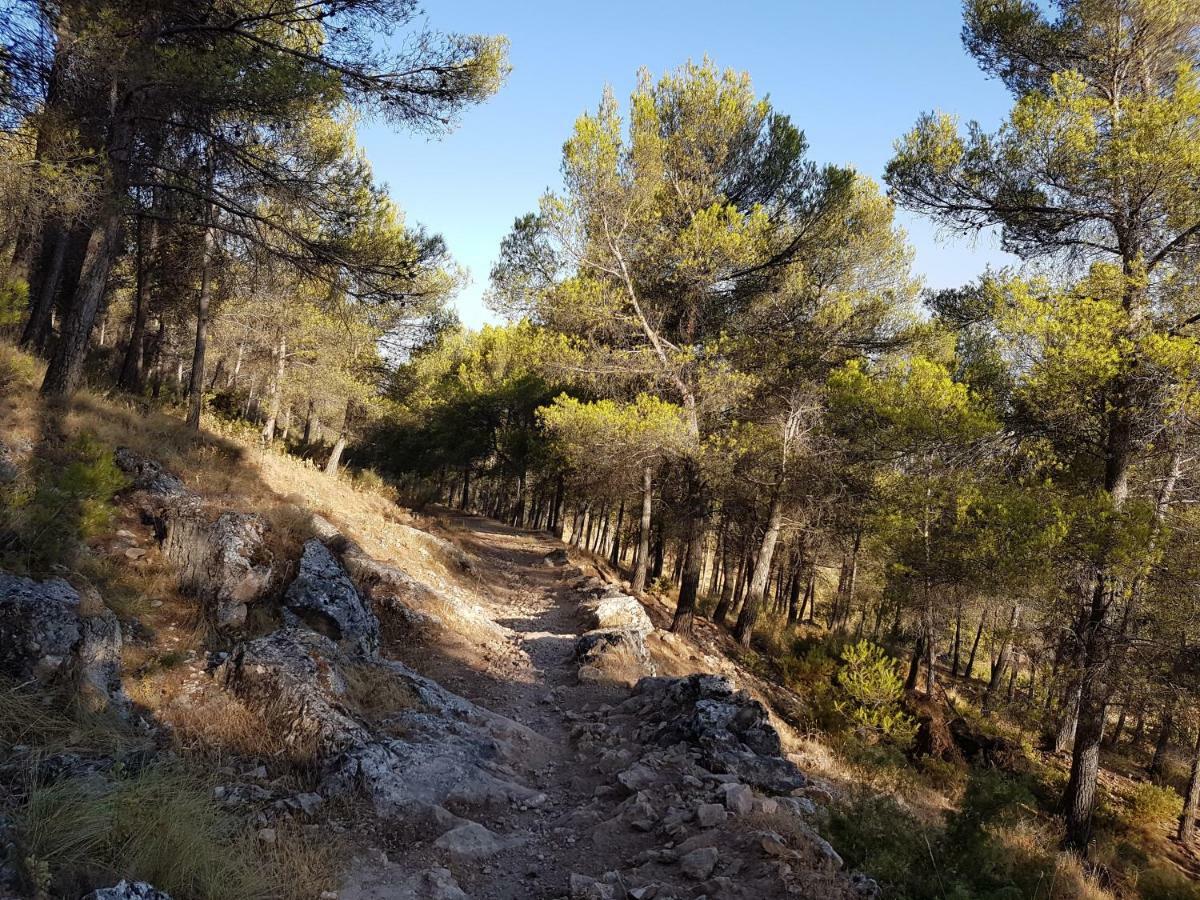Apartamentos Rurales La Dehesa Del Acebuche เฮน ภายนอก รูปภาพ