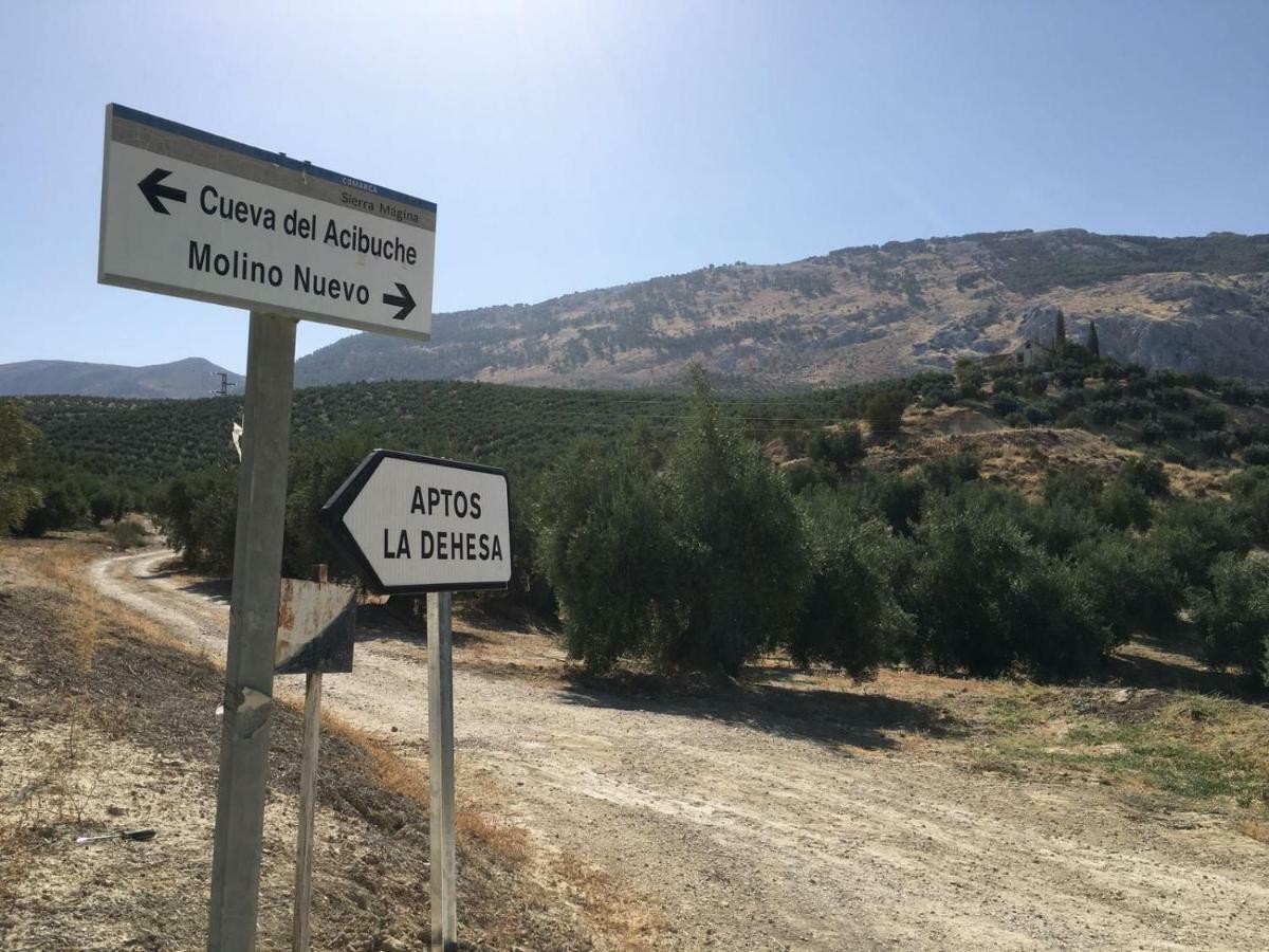 Apartamentos Rurales La Dehesa Del Acebuche เฮน ภายนอก รูปภาพ