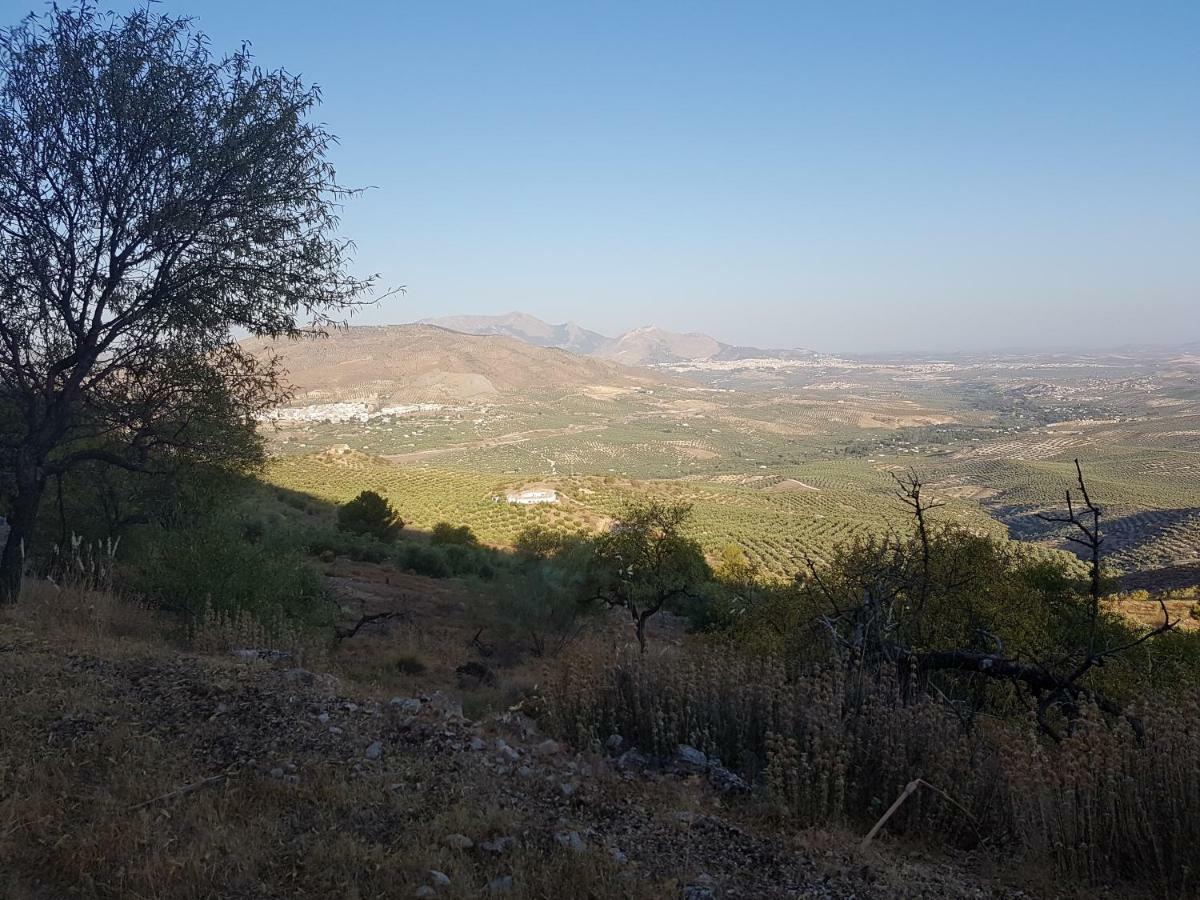 Apartamentos Rurales La Dehesa Del Acebuche เฮน ภายนอก รูปภาพ